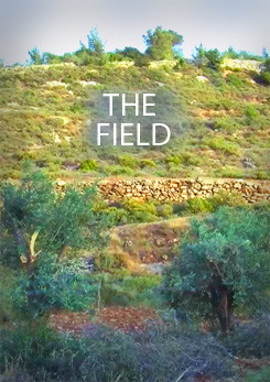 The Field