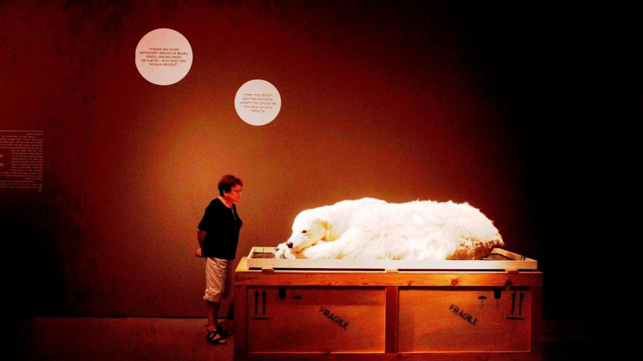 Watch Full Movie - The Museum - Watch Trailer