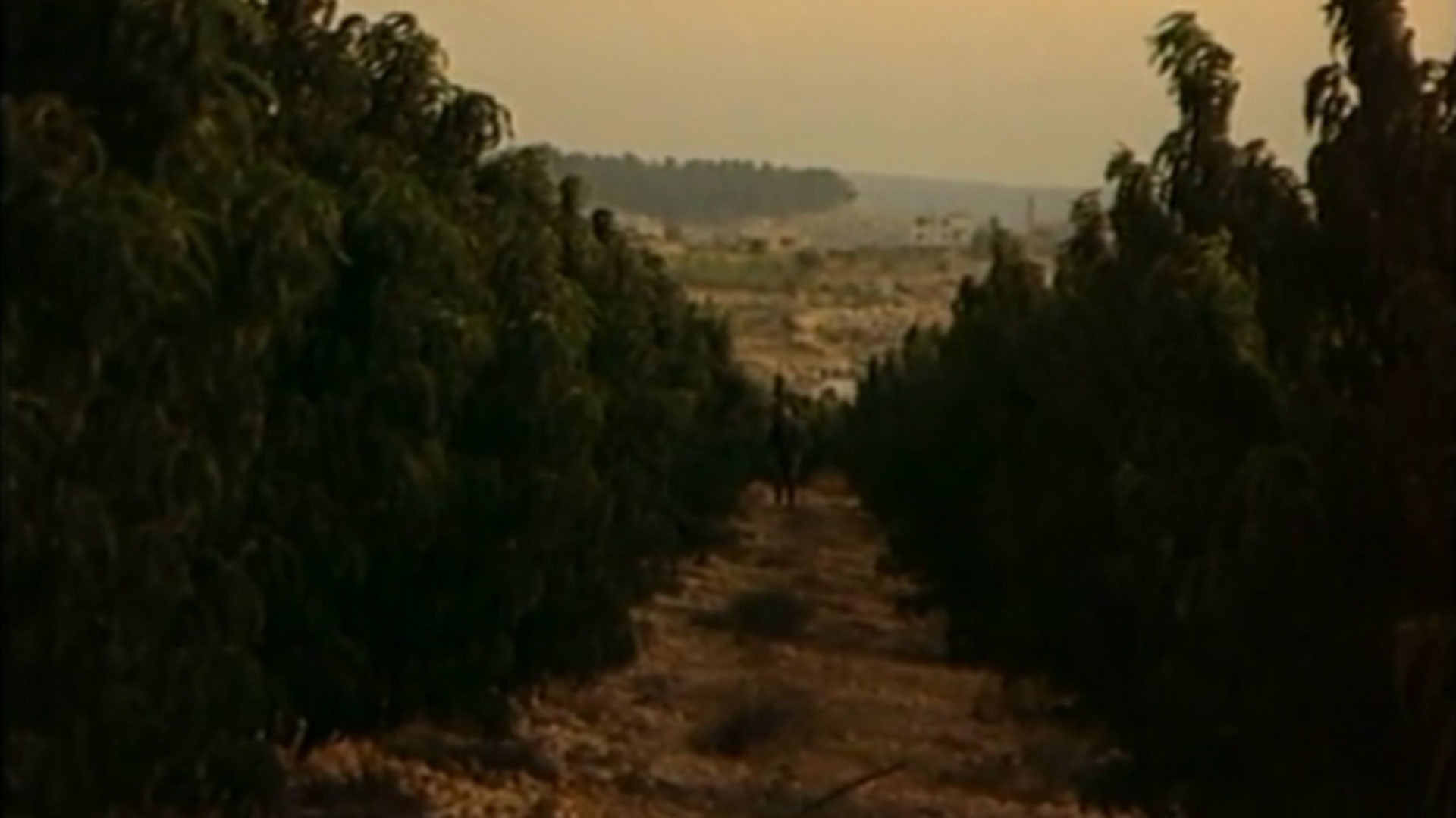 Watch Full Movie - Fragments of a Dream - Watch Trailer