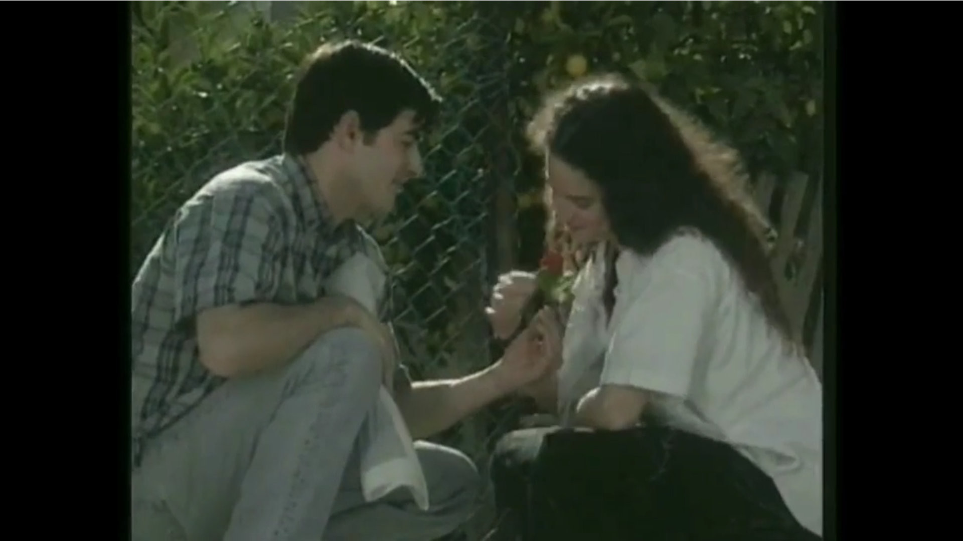 Watch Full Movie - Newspapers and Flowers - Watch Trailer